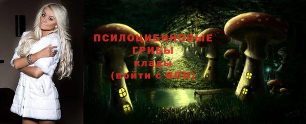 соль ск Костерёво