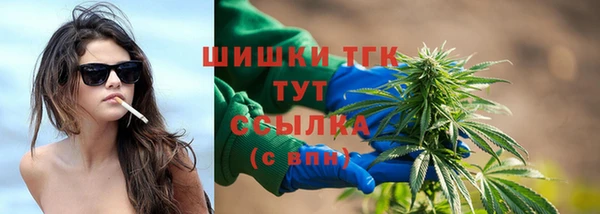 мет Алексин