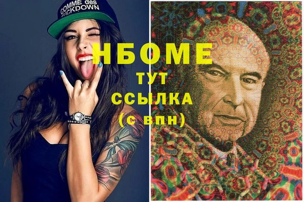 мет Алексин