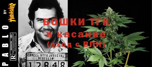 мет Алексин