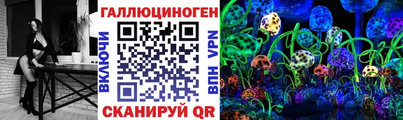 сколько стоит  Коряжма  Галлюциногенные грибы мицелий 