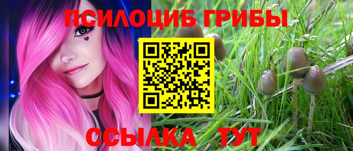 Псилоцибиновые грибы ЛСД Коряжма